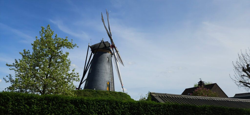 Molen Sint Molenaar