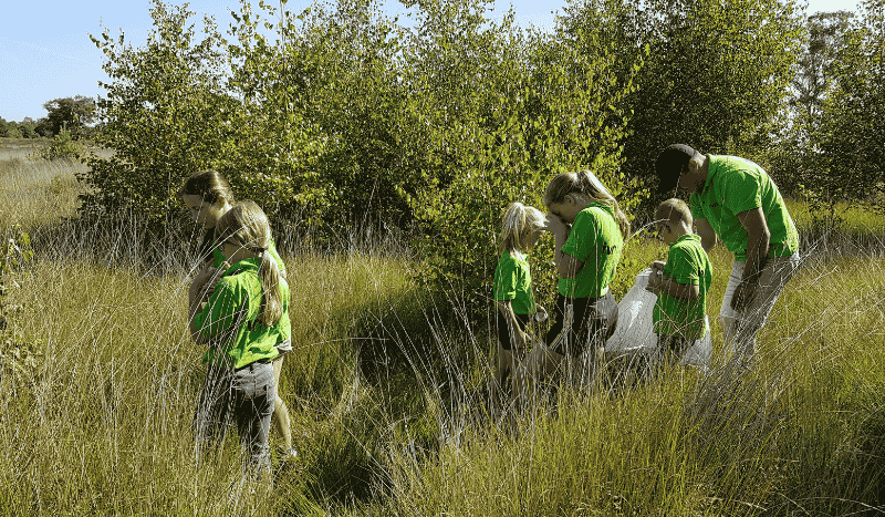 Insecten zoeken Strabrechtse heide