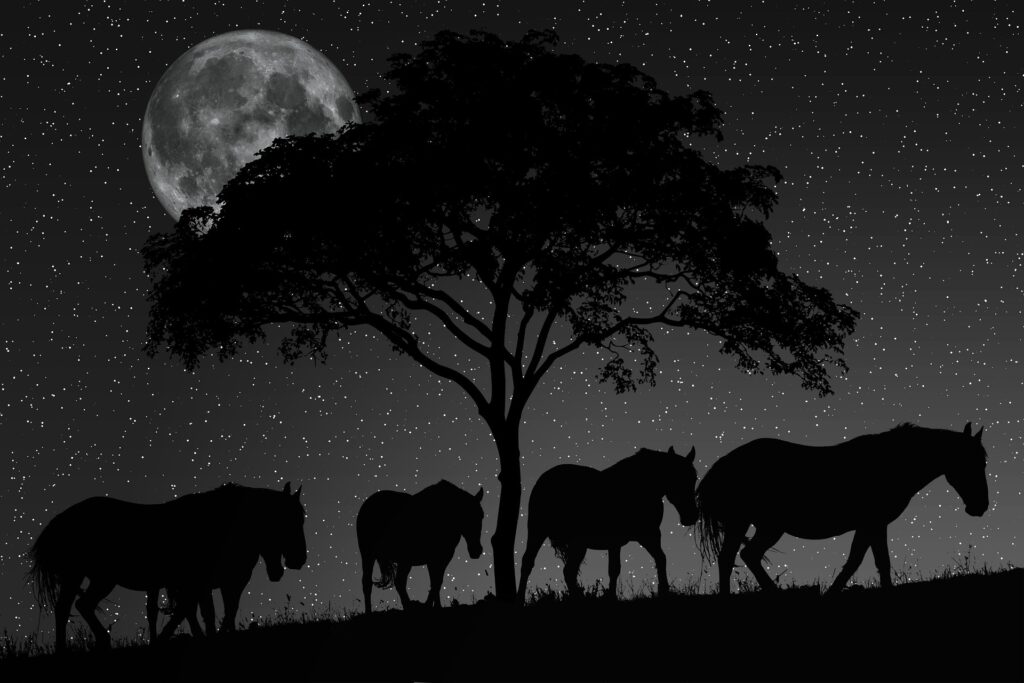 Nacht van de nacht