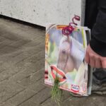 Egonvanderlinden_proefperron_20251012_070750_0000