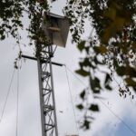 Eichhorn_varkenschieten (6)