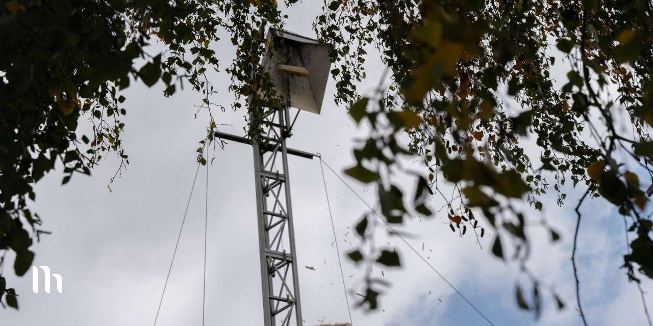 Eichhorn_varkenschieten (6)