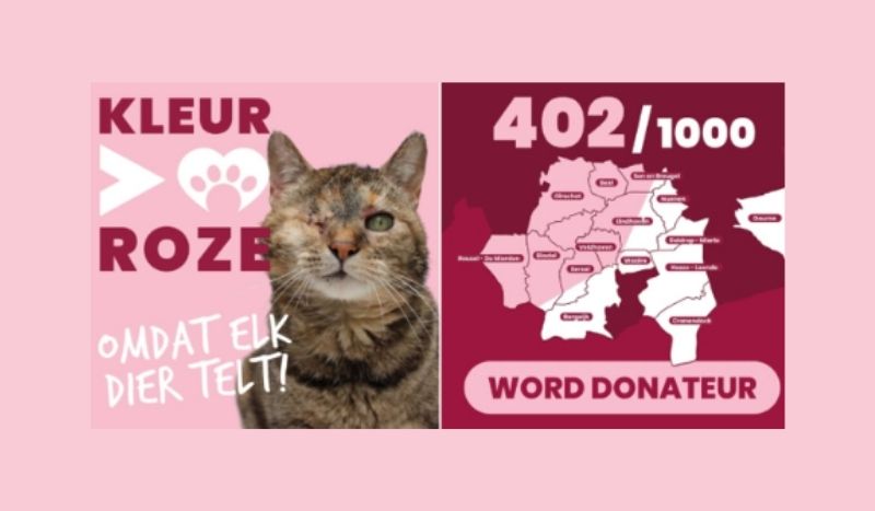 Campagne Elk Dier Telt van Dierenasiel en Dierenambulance ROZE gestart