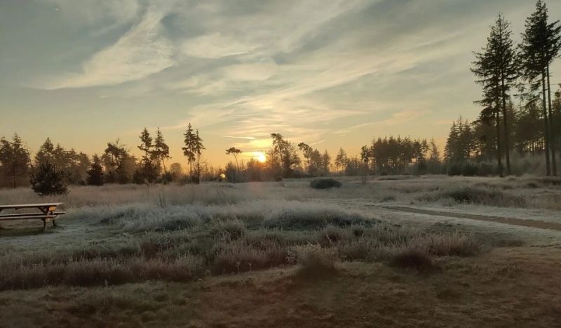Schoorsveld in de winter