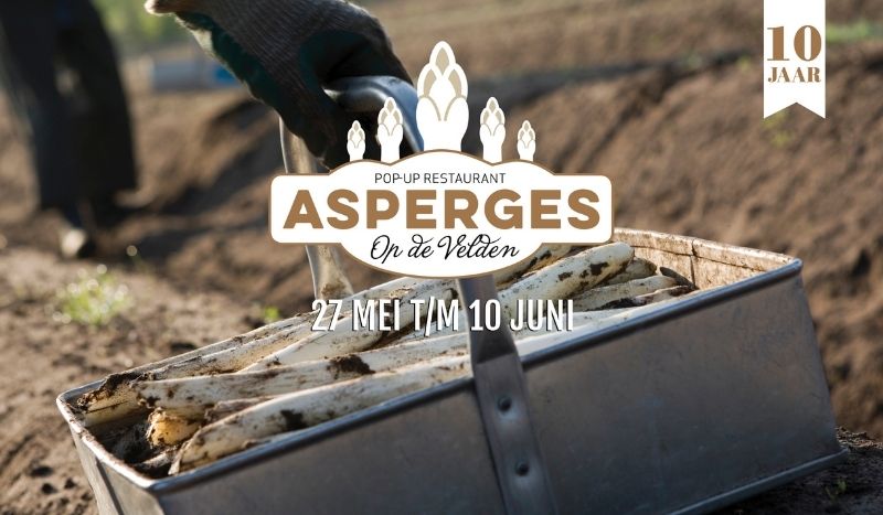 Asperges op de velden
