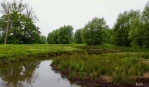 IVN ochtendwandeling door het Beekdal