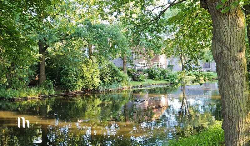Park with a calm river, tall green trees along the bank, and houses reflected in the water.