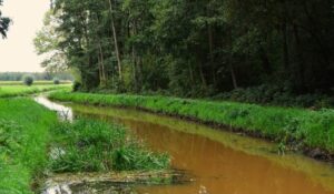 Publiekswandeling “Slingerend langs de Strijper Aa”