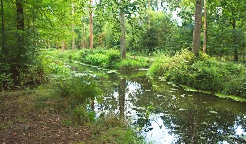 Sterkselskanaal achter de Pan