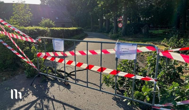 Boschlaan