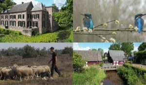 Documentaire Kleine Dommel – Levensader voor Oost-Brabant